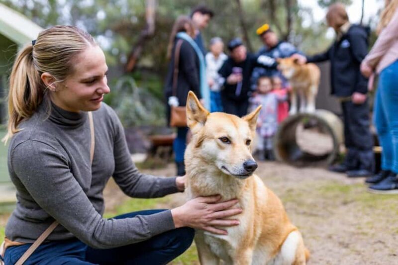 Perth: WA Wildlife Hospital and Native Fauna Encounter Tour - What to Expect from the Tour