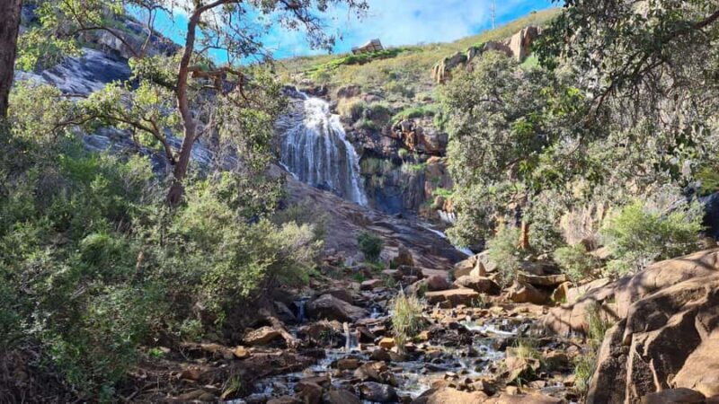 Perth: Waterfalls, Wildflowers & Wandoo Hiking Experience - Discovering Mundy Regional Park: A Natural Escape Near Perth
