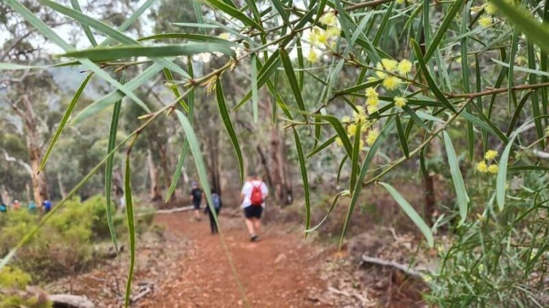 Perth: Waterfalls, Wildflowers & Wandoo Hiking Experience - Who Will Love This Tour?