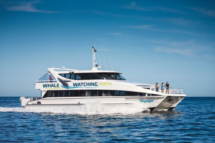 Perth: Whale Watching Cruise From Hillarys Boat Harbor - Experience Highlights