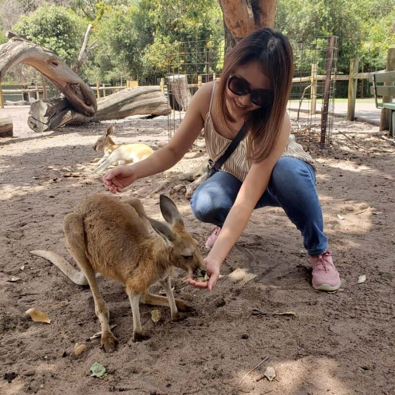 Perth Wildlife Park & City Highlights - Small Group Tours - Who Will Love This Tour?