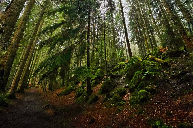 Perthshire Highlands Expedition: Private Land Rover Tour - Common Questions