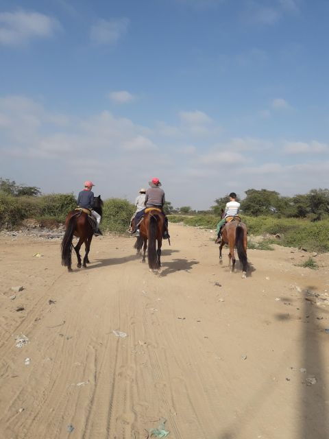 Peru,: 4 Hours Horseback Riding and Ancient Pyramids - Activity Details