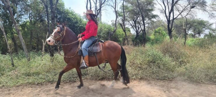 Peru, Chiclayo: 1 Day Horseback Riding and Ancient Pyramids - Activity Details