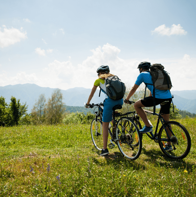 Perugia: Bike Tour and Wine Tasting in the Vineyards - A Taste of Local Wines