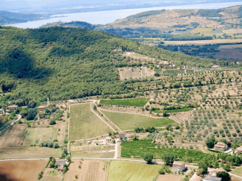 Perugia Winery Visit & Tasting near the Lake Trasimeno - Who Will Love This Experience?