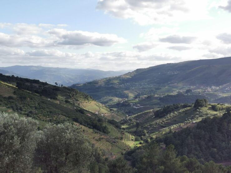 Peso Da Régua: Douro Valley Tour With Lunch and Wine Tasting - Booking Information
