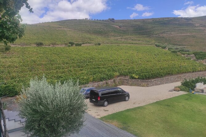 Peso Da Regua Private Douro Valley Tour - Traveler Photos for Inspiration