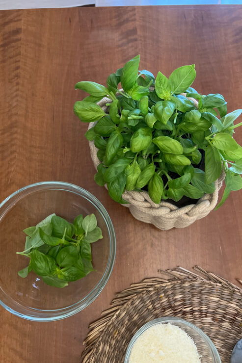 Pesto: Learn, Cuisine, Eats - Good To Know