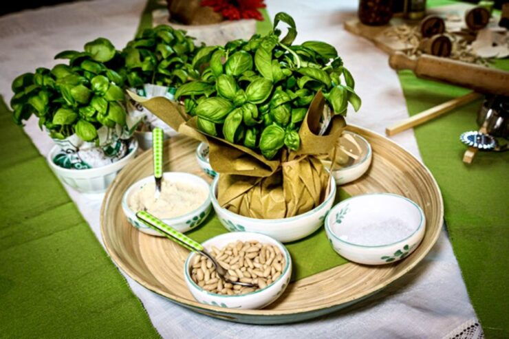 Pesto Making Class in Historic Building in Genoa - Instructor Information