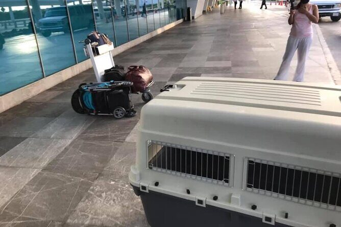 PET FRIENDLY Private Transfer Cancun - Playa del Carmen - An Overview of this Transfer Experience