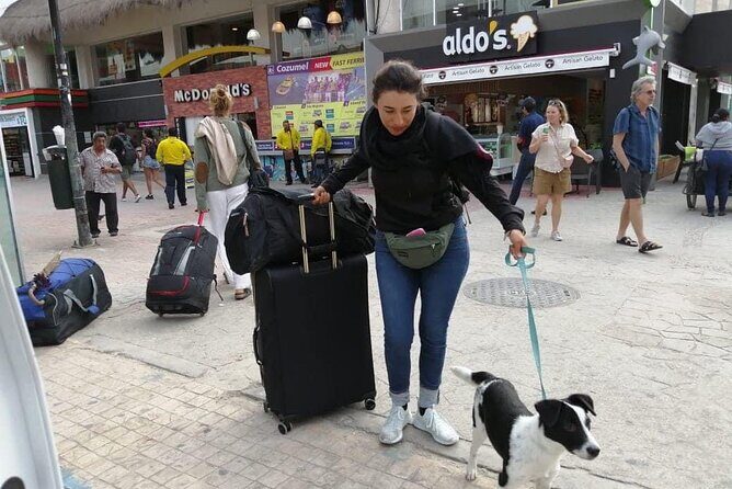 PET FRIENDLY Private Transfer Cancun - Playa del Carmen - Final Thoughts: Is It Worth It?