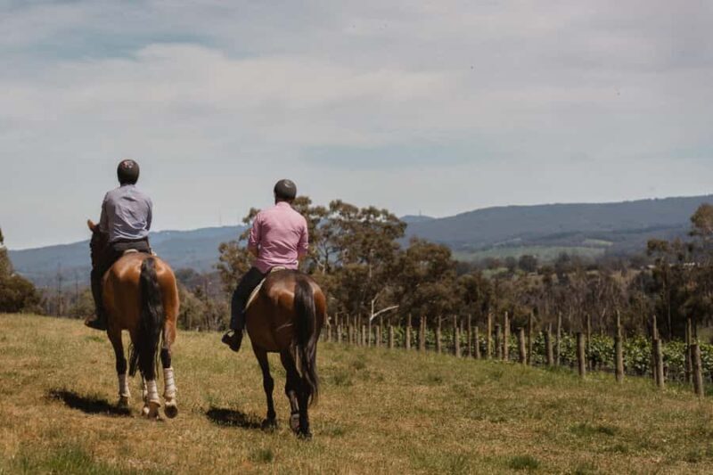 Petaluma: Horseback Riding and Wine Tasting Tour - Good To Know