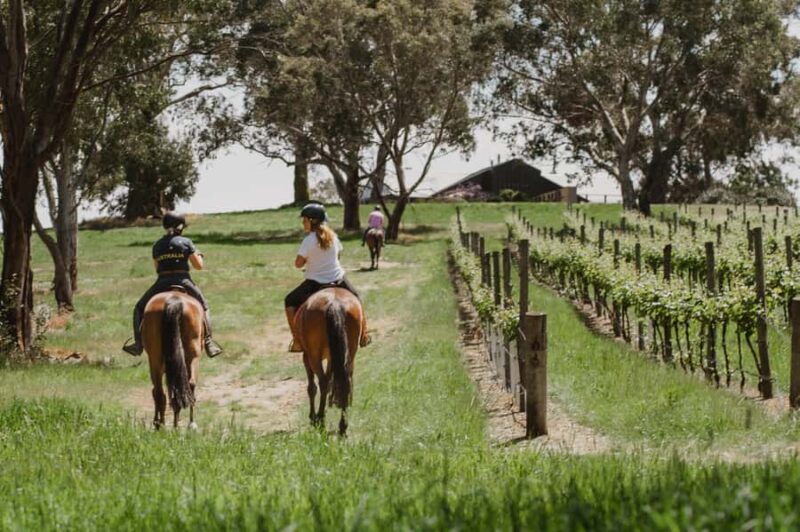 PETALUMA: VIP Equestrian & Private Wine Lunch with Olympian - A Unique South Australian Experience: Equestrian and Wine with an Olympian