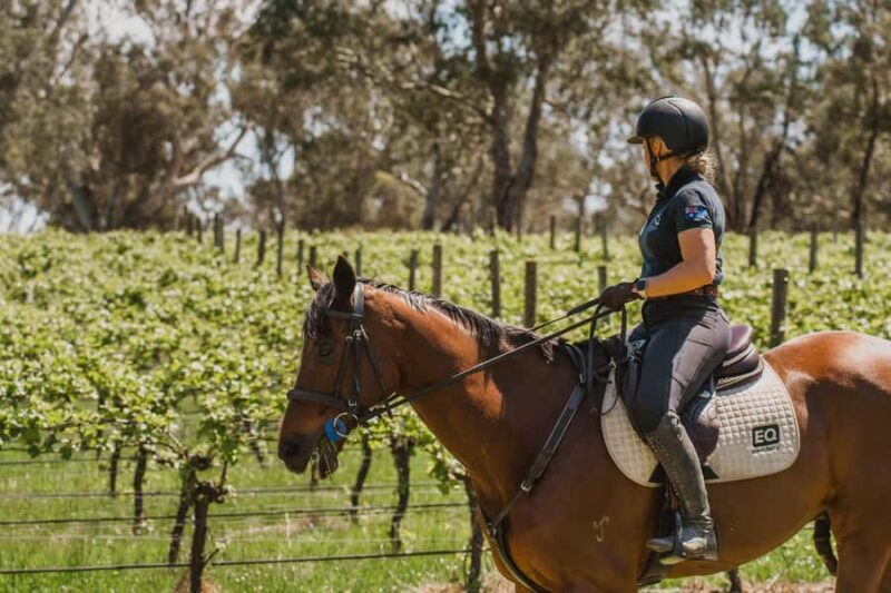 PETALUMA: VIP Equestrian & Private Wine Lunch with Olympian - Good To Know