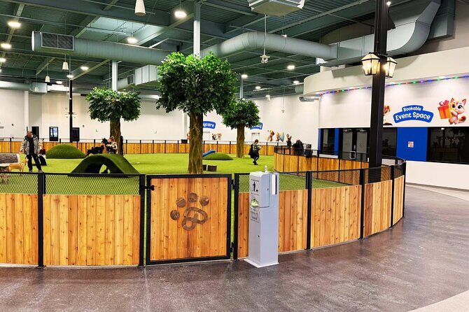 Petfinity Indoor Dog Park in Calgary - Final Thoughts: Is Petfinity Indoor Dog Park Worth It?
