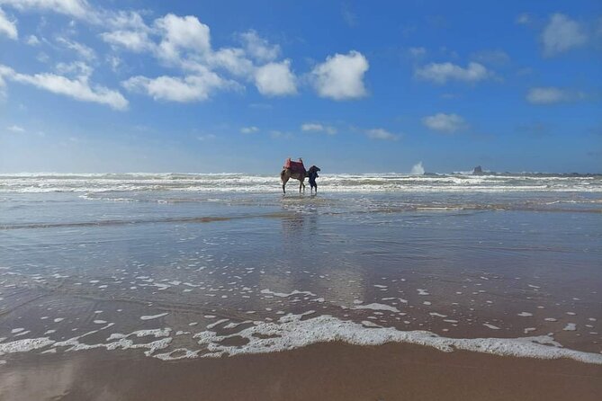 Petit Desert One Day Departure From Agadir - Availability and Booking