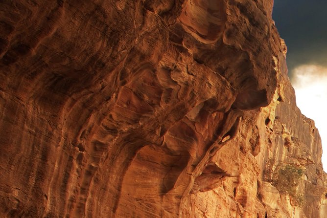 Petra 1 Day From Eilat Private Tour - Booking and Price