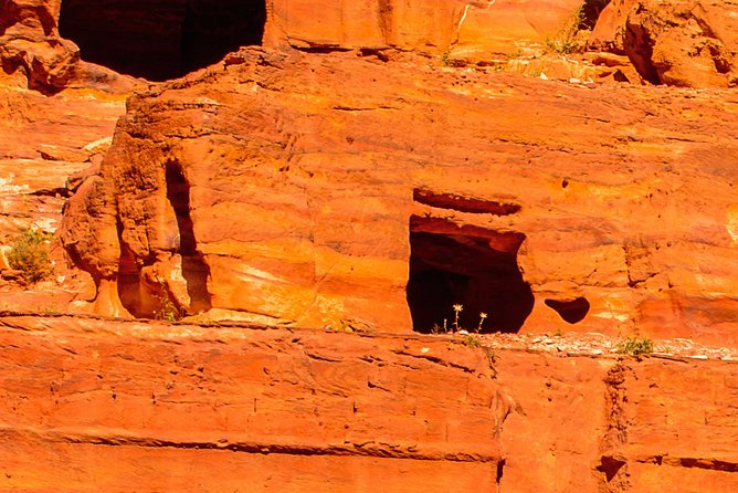 Petra 1 Day From Eilat Private Tour - Customer Reviews
