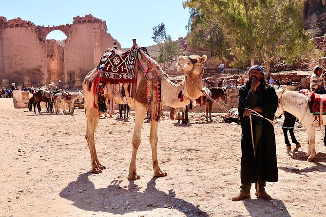Petra 1-Day Tour From Tel Aviv With FREE Authentic Lunch - Booking Details and Price