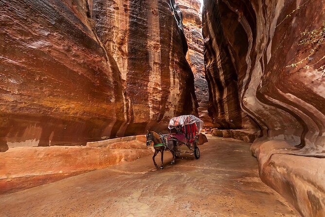 Petra and Wadi Rum - 2 Days From Eilat - Reviews