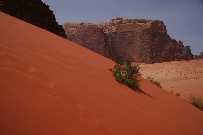 Petra and Wadi Rum One Day Tour From Aqaba Port - Booking Process