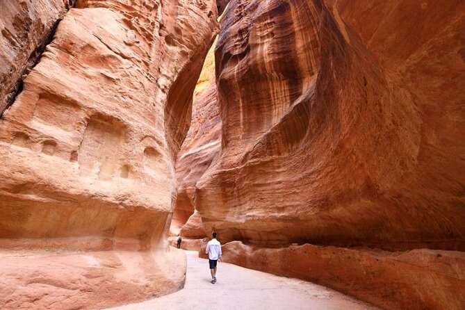 Petra Full Day Trip From Amman - Price and Inclusions