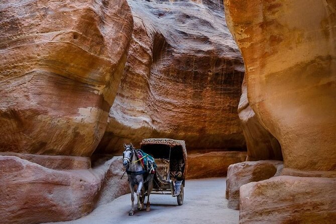 Petra Private Full-Day Tour - The Sum Up