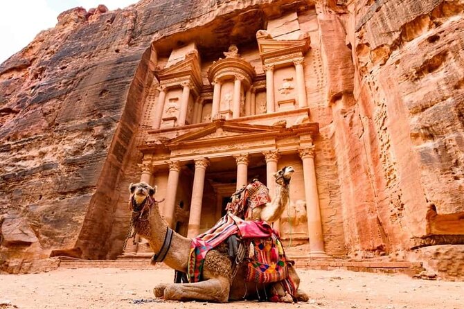 Petra Sightseeing 1 Day Tour From Sharm El Sheikh - Inclusions and Whats Provided