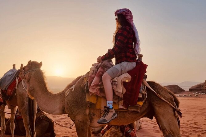 Petra & Wadi Rum Full-Day Private Guided Tour From Amman - Cancellation Policy