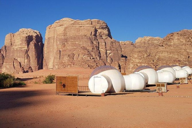 Petra & Wadi Rum Private Tour - What to Expect