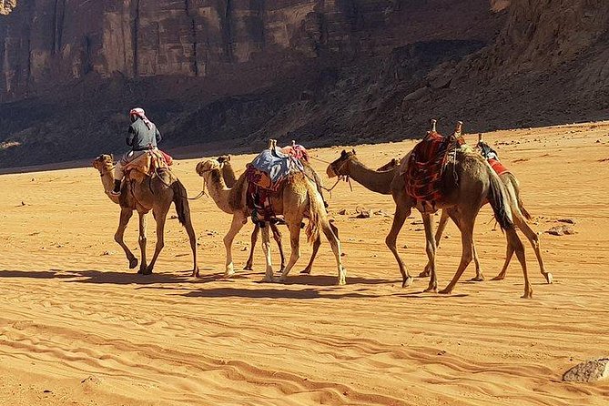 Petra & Wadi Rum Private Tour - Price Details