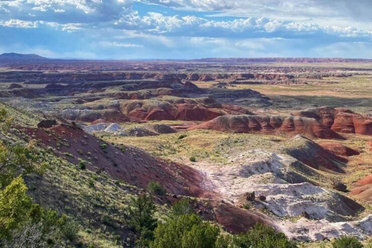 Petrified Forest National Park Self-Guided Audio Tour - Booking Information