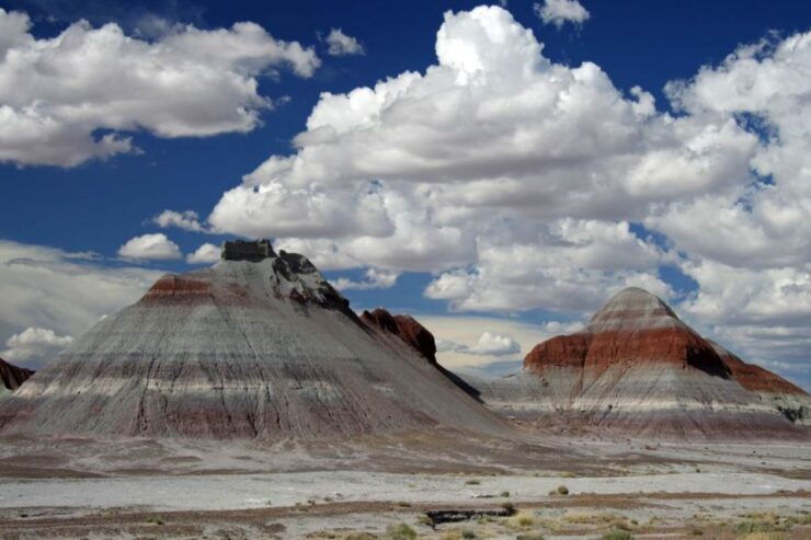 Petrified Forest National Park Self-Guided Audio Tour - Tour Details