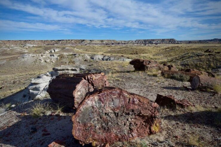 Petrified Forest National Park Self-Guided Audio Tour - Tour Information