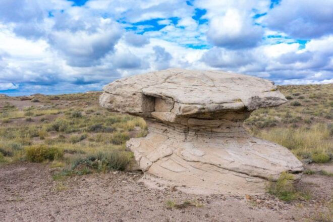 Petrified Forest National Park Self-Guided Audio Tour - Detailed Itinerary Highlights