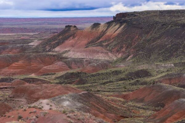 Petrified Forest National Park Self-Guided Audio Tour - Meeting Point Details