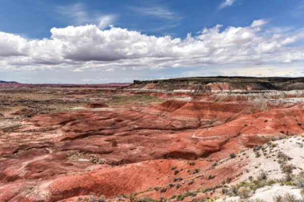 Petrified Forest National Park Self-Guided Audio Tour - Important Tour Information