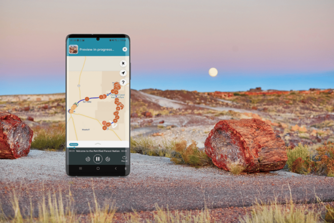 Petrified Forest National Park: Self-Guided GPS Audio Tour - What to Bring