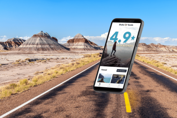 Petrified Forest National Park: Self-Guided GPS Audio Tour - Booking and Cancellation Policy