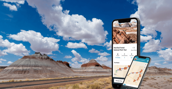 Petrified Forest National Park: Self-Guided GPS Audio Tour - The Sum Up