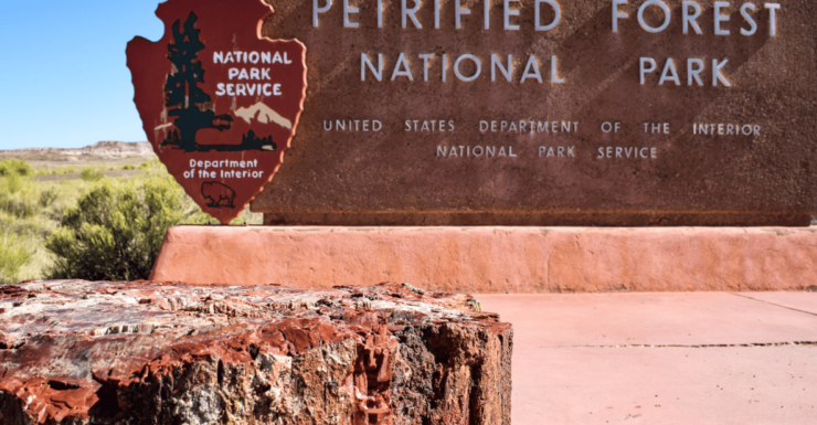Petrified Forest: Ultimate Self-Guided Driving Tour - Good To Know