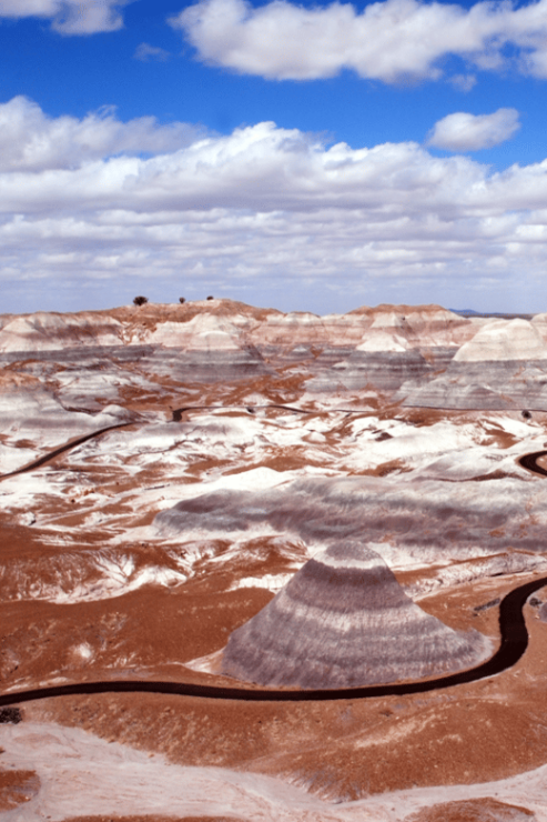 Petrified Forest: Ultimate Self-Guided Driving Tour - Highlights and Attractions