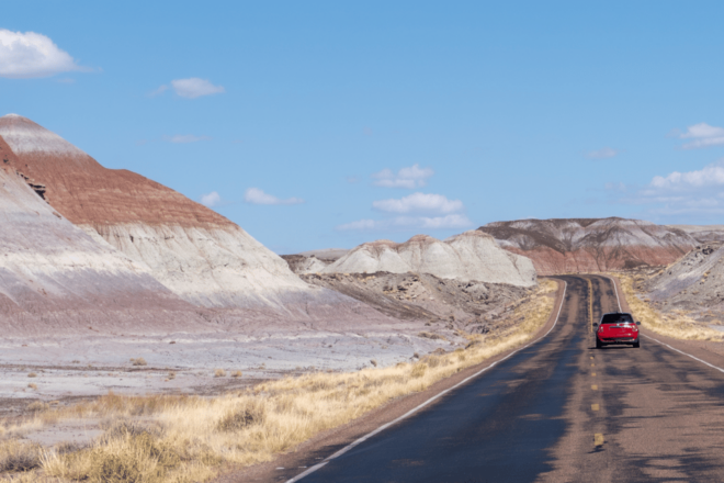 Petrified Forest: Ultimate Self-Guided Driving Tour - Geological and Ecological Significance