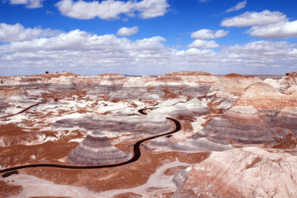Petrified Forest: Ultimate Self-Guided Driving Tour - Exploring the Painted Desert