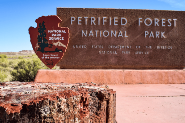Petrified Forest: Ultimate Self-Guided Driving Tour - Frequently Asked Questions