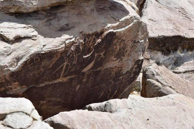 Petrified National Park: Self-Guided Driving Discovery Tour - Painted Desert Visitor Center
