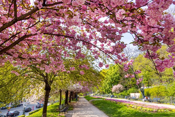 Petrin Funicular, Petrin Hill, Petrin Tower Tour in Prague - Cancellation Policy