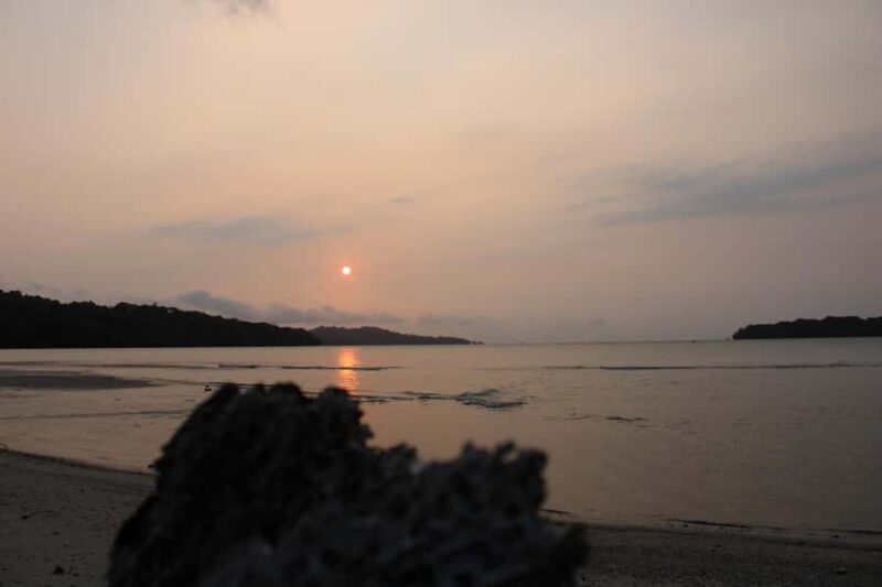 Peucang Island: 3-Day Ujung Kulon National Park EcoTour - An Overview of the Ujung Kulon EcoTour Experience