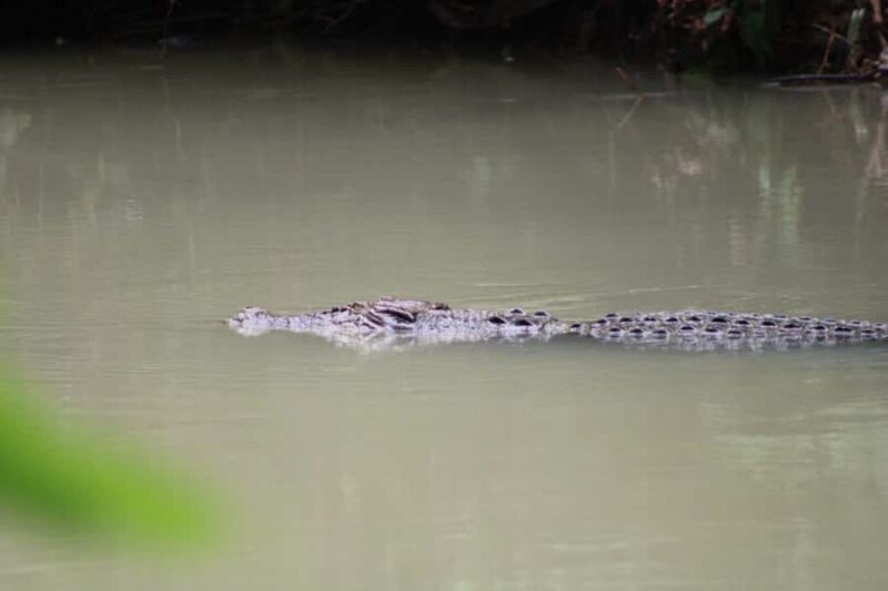 Peucang Island: 3-Day Ujung Kulon National Park EcoTour - An In-Depth Look at the 3-Day Itinerary